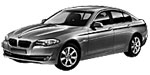 BMW F10 U204E Fault Code